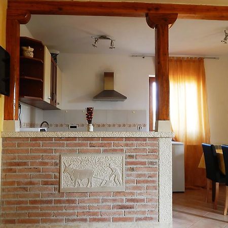 Apartment Karmen Poreč Zewnętrze zdjęcie